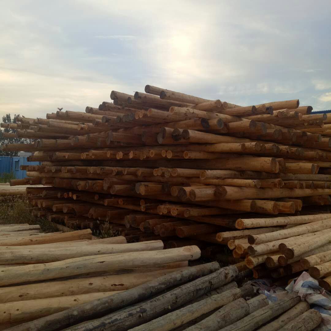 ͼ۹ӦըľˡľˡŸˡ121416ľ