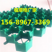  ӭ//ֲݸ@۸񹫵ӭͼƬ