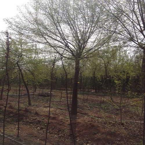 ˿ľ̼ Ƿ ļũҵ޹˾