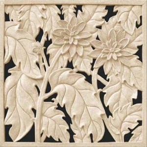 ���ຣ���ܺ���������