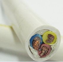 RVV����ȫ��ͭо������ϡ��Ե������ϡ����������