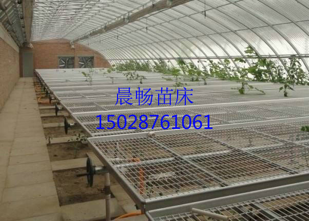 �����ƶ��紲��Ƭ�۸񼰹��