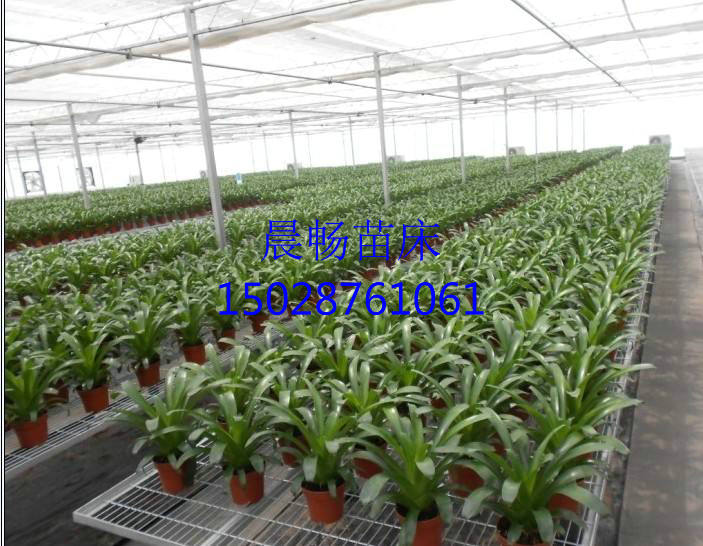 �����紲���/�紲���ּ۸�