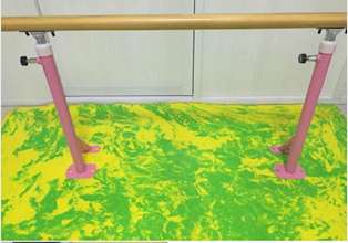 ���ճ������ʽ�赸�Ѹ˾�����,�赸�Ѹ�������