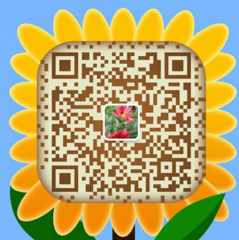 ҽԺ©ѹϵͳ-ҽĿʮӳɵͼƬ