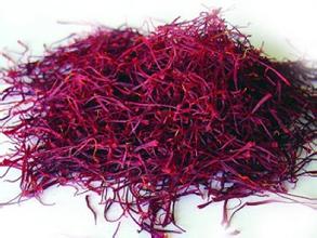 �غ컨��������������ʲغ컨�������