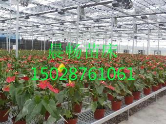 �ӱ��紲������ �紲��Ƭ��������