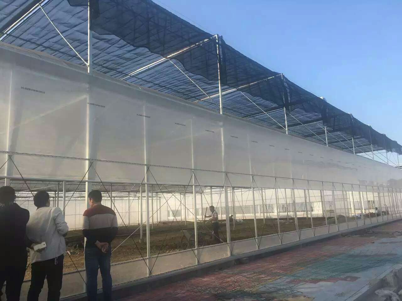 大棚厂简介:【 (微信)】 享受国家补贴,政府扶贫项目 温室大棚,蔬菜大棚,连体大棚,连栋大棚,大棚骨架,大棚安装设计,玻璃温室大棚,阳光板温室大棚。 无锡大棚钢管厂、无锡信义鼎钢管厂是生产销售为一体大棚钢管厂,经销质优价廉的各种材质大棚管,大棚钢管,大棚专用管,4分大棚管,6分大棚钢管,热镀锌大棚管,大棚镀锌管,大棚管配件,规格齐全,所生产产品应用到大棚上,质量有保证,可来厂参观,定做!