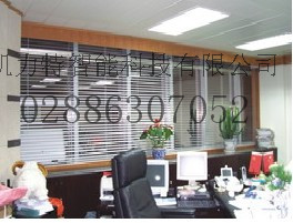 ɶ綯Ҷ 綯ҶҡĴص綯˾