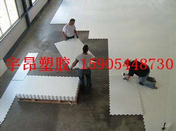 �����������ذ�߷��Ӿ���ϩ�ذ� ����