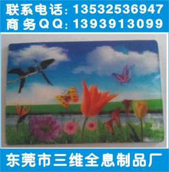 ��ݸ2��3D��դƬ����ά���嶯�������Ƕ�ת����̬ͼ