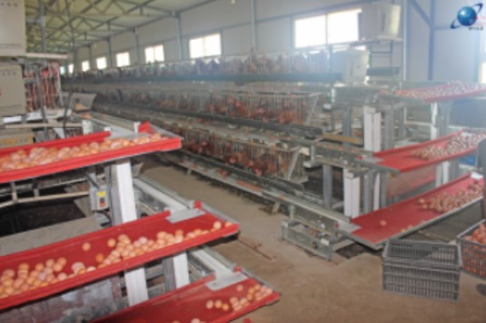 ��Ӧ����YX-jdj�񵰻� ��ʽ������ ������ֳ�豸 �������������豸����