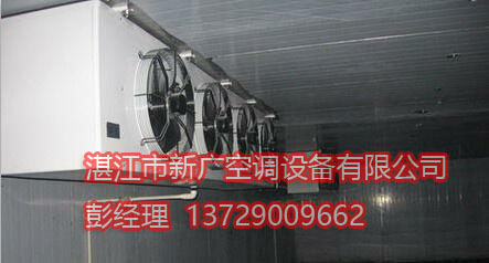 տ��С����ⱨ��