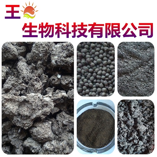 �ӱ����೧��|�ӱ��ɼ��๫˾|�ӱ������л�������